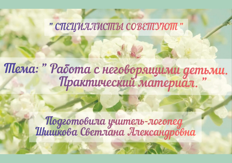 Работа С Неговорящими Детьми Практический
